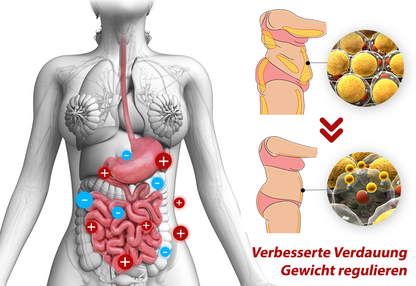 GFOUK™ IONSculpt Turmalin-Faser-Slips