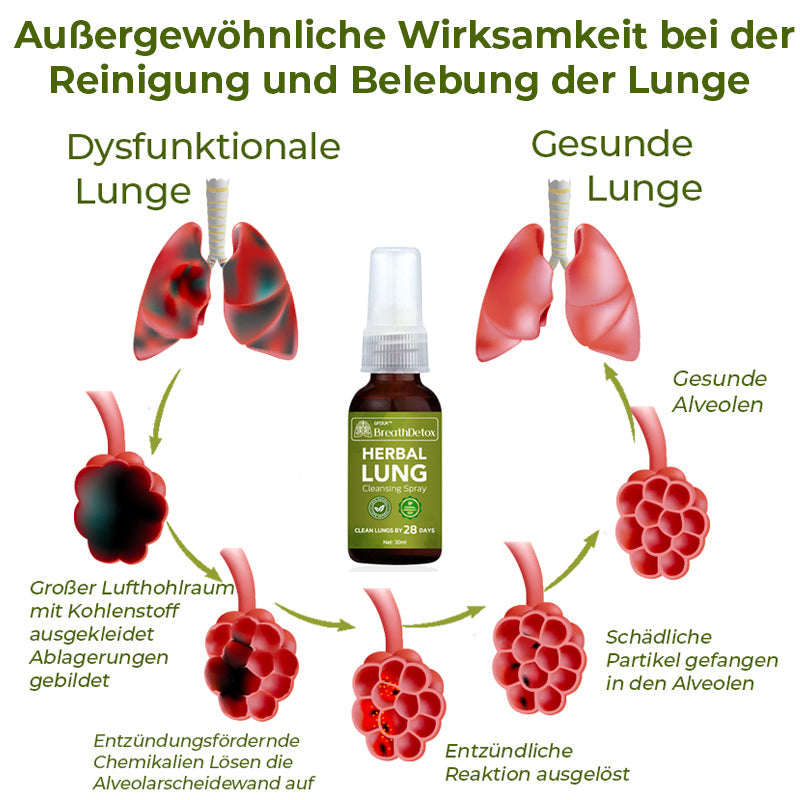 GFOUK™️ BreathDetox Kräuter-Lungenreinigungsspray