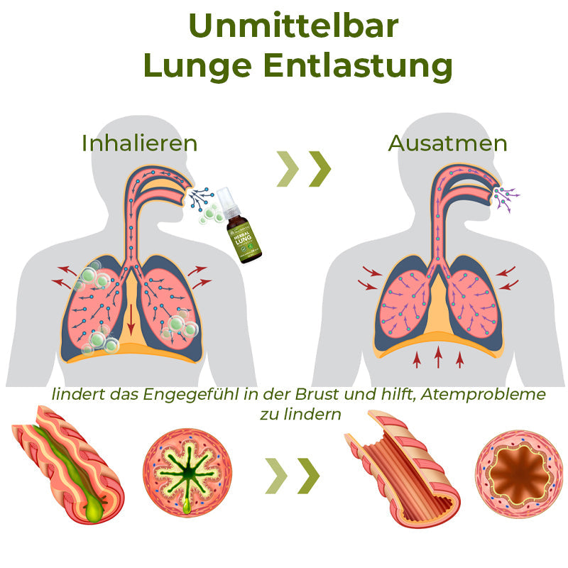 GFOUK™️ BreathDetox Kräuter-Lungenreinigungsspray