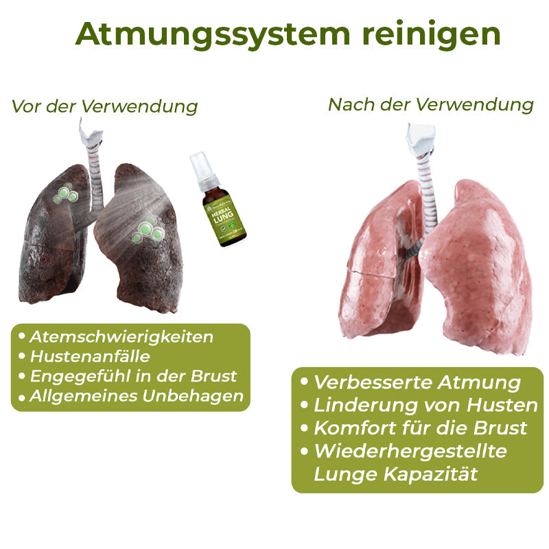 GFOUK™️ BreathDetox Kräuter-Lungenreinigungsspray